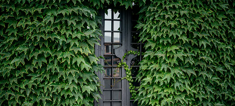 Garden Gate Repair in Pembroke Pines, FL