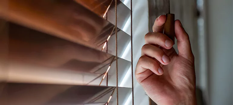 Double Roller Blinds in Pembroke Pines, FL