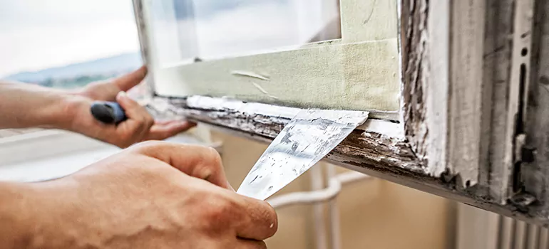 Custom Window Insulation Solutions in Pembroke Pines, FL