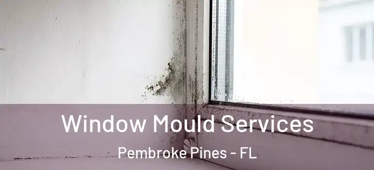  Window Mould Services Pembroke Pines - FL